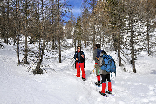 _DSC0562.jpg